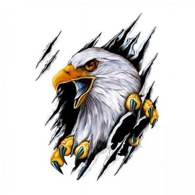 DYNWAVECA 3xEagle Car Sticker Decals Simulation Cartoon for Bumpers Motorcycle Left , Left, 3 Pcs