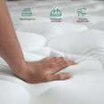 thumbnail image 4 of Base Cama Abatible Madera Colchón Memory En Caja Individual blanco, 4 of 8