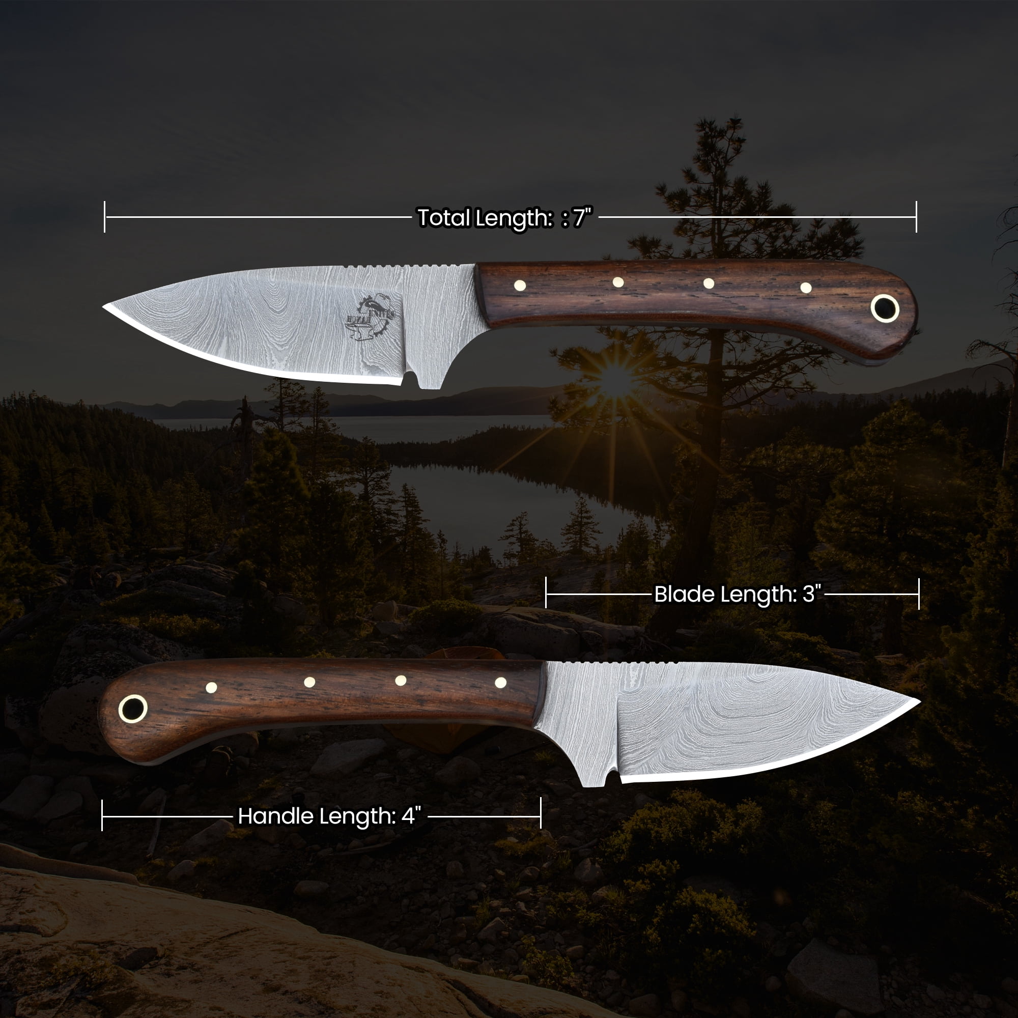 Knives Ranch 2011 Compact Damascus Steel Fixed Blade EDC Knife with Rosewood Handle – Durable Pocket Style Outdoor Knife for Camping, Hunting & Utility Tasks