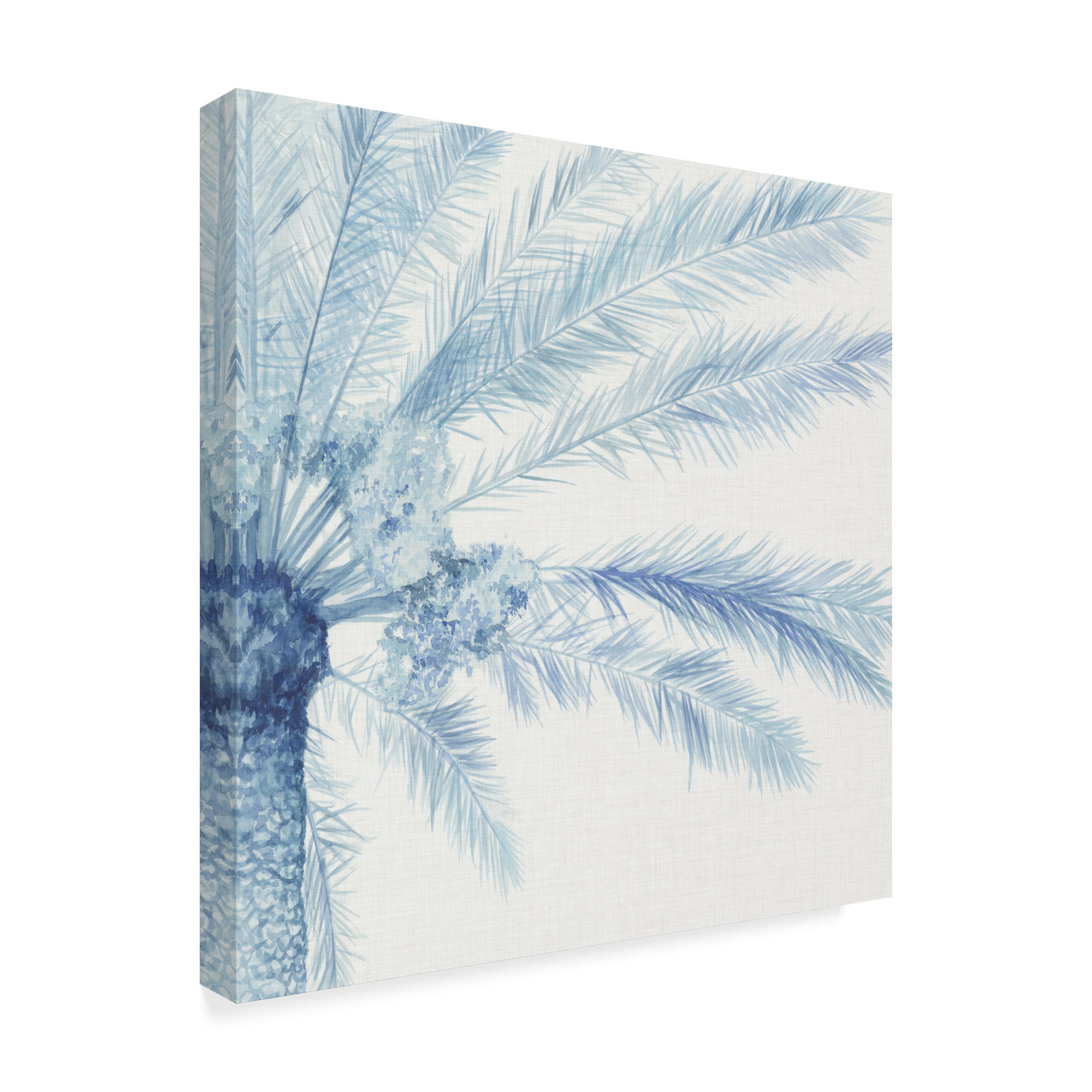 Trademark Fine Art 'Chambray Palms II' Canvas Art by Megan Meagher
