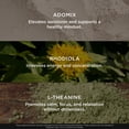 thumbnail image 6 of The Genius Brand Joy, Nootropic Mood Support Supplement, Support Cognitive Health - 100 Veggie Capsules, 6 of 9