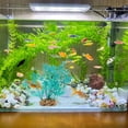 thumbnail image 4 of LIFKOME 2pcs Simulation Plastic Green Plants Aquarium Plants Assorted Color For Aquatic Environment, 4 of 8