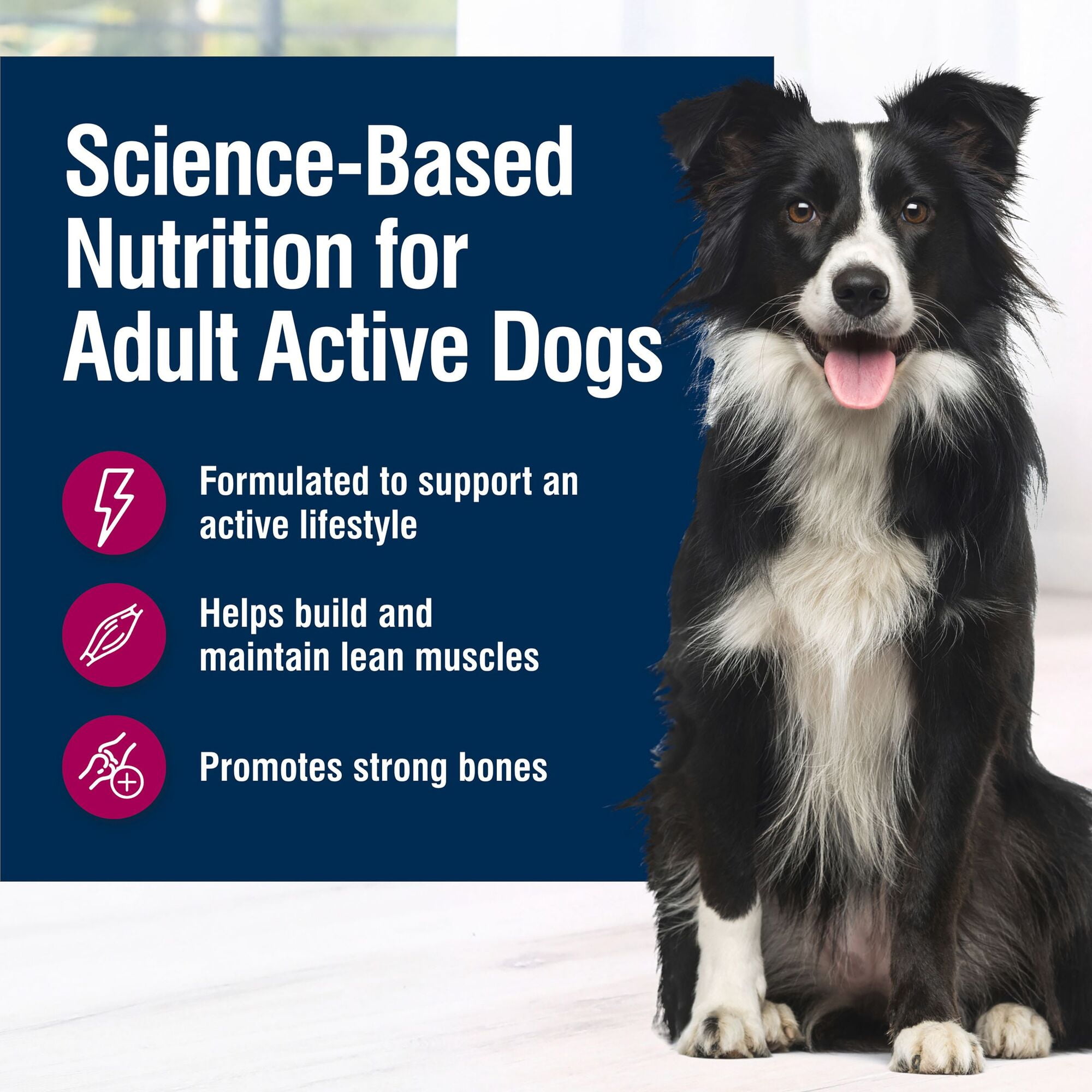 (4 pack) Blue Buffalo True Solutions Active Dog Wet Dog Food, 12.5-oz. Can