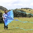 thumbnail image 3 of Dragon Kite for Kids Adults, Easy to Fly Best Delta Beach Kite, 300ft Kite String, 3 of 5