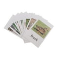thumbnail image 5 of 12x Animals Match Cards Figure , Matching Puzzle Game,, 5 of 8