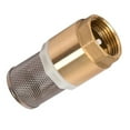 Copper Water Pump Inlet Pipe Filter Thread Filter Vertical Check Valve