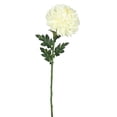 thumbnail image 1 of Vickerman FA174501 Tige Florale Unique de Crème de Souci, 1 of 1