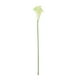 thumbnail image 1 of Ramos de Alcatraces Artificiales Bearachild Blanco 20 Piezas, 1 of 6