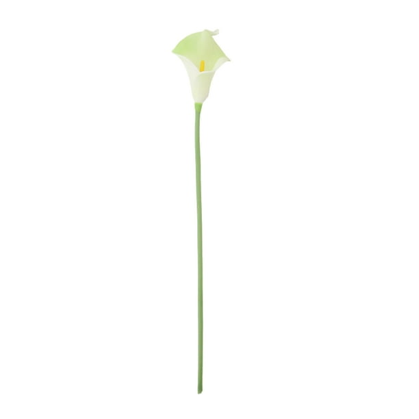 Ramos de Alcatraces Artificiales Bearachild Blanco 20 Piezas