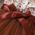 thumbnail image 5 of TFEOQRY Children Girls' Tulle Dress Long Sleeved Lapel Floral Printed Mesh Dress with Woven Waistband Brown, 5 of 9