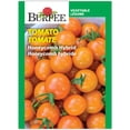 thumbnail image 1 of Tomate hybride Burpee en nid d’abeille, 1 of 5