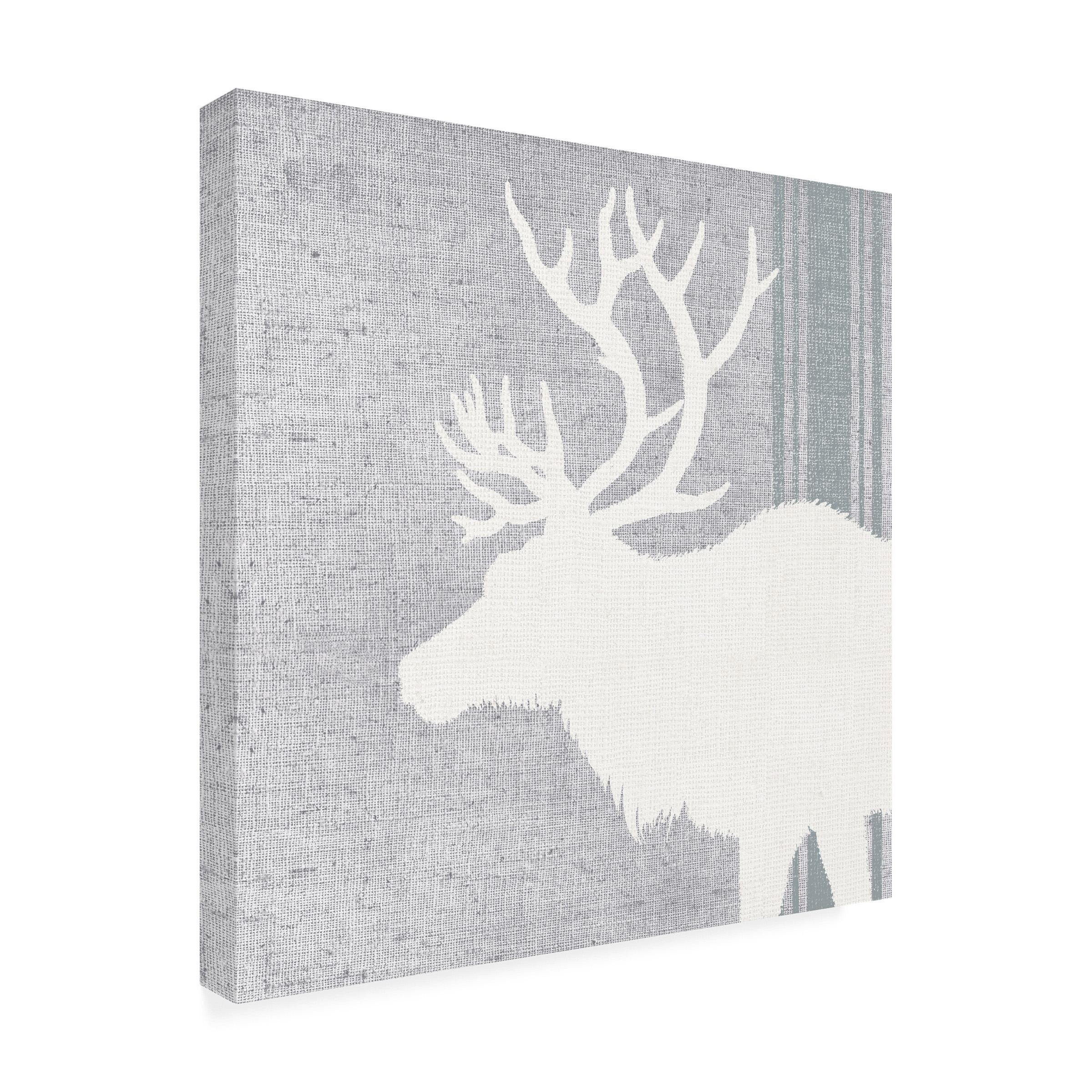 Trademark Fine Art 'Woodland Animal II' Canvas Art by Wild Apple Portfolio