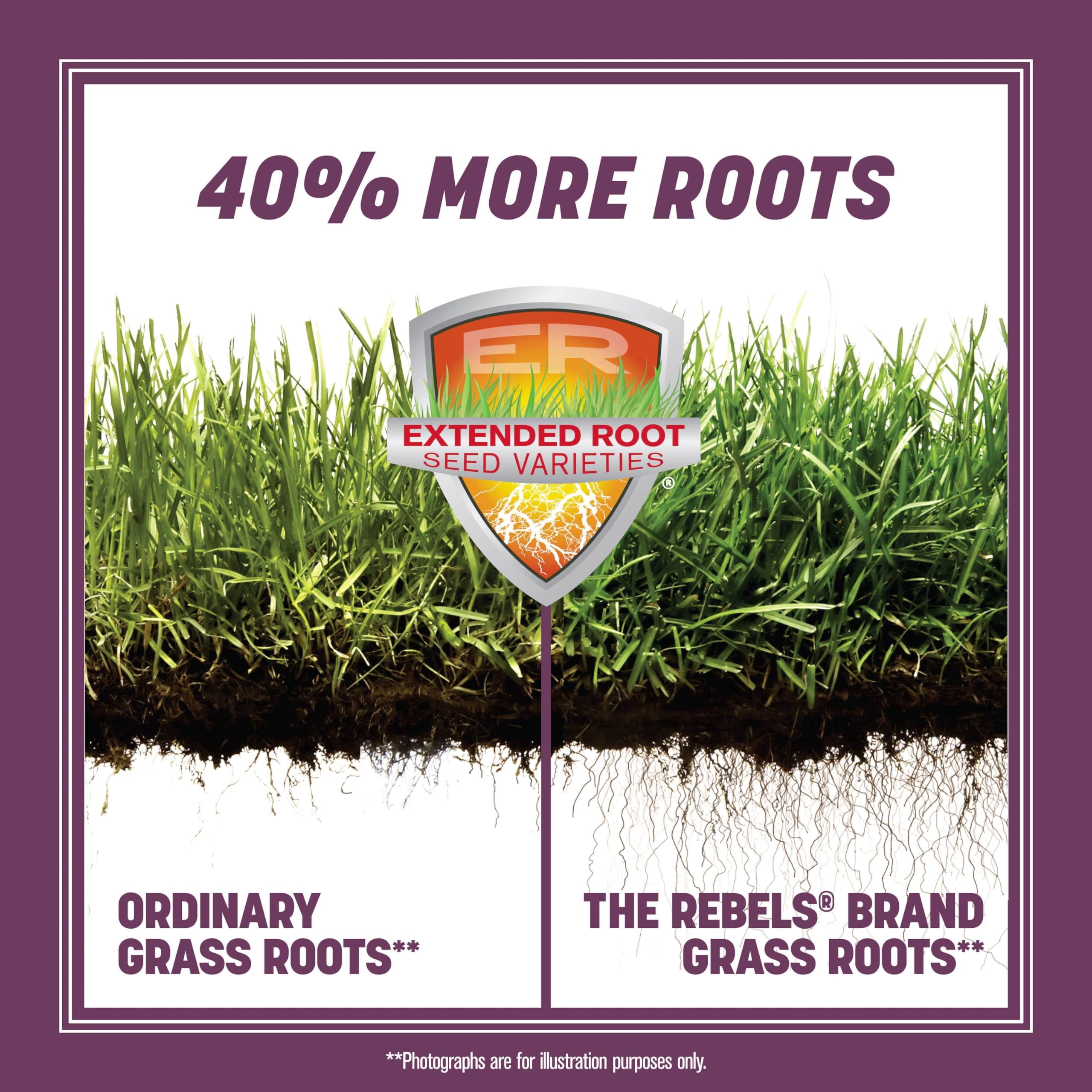 Pennington The Rebels Tall Fescue Shady NSD3&nbsp;Grass Seed Mix 3 lb