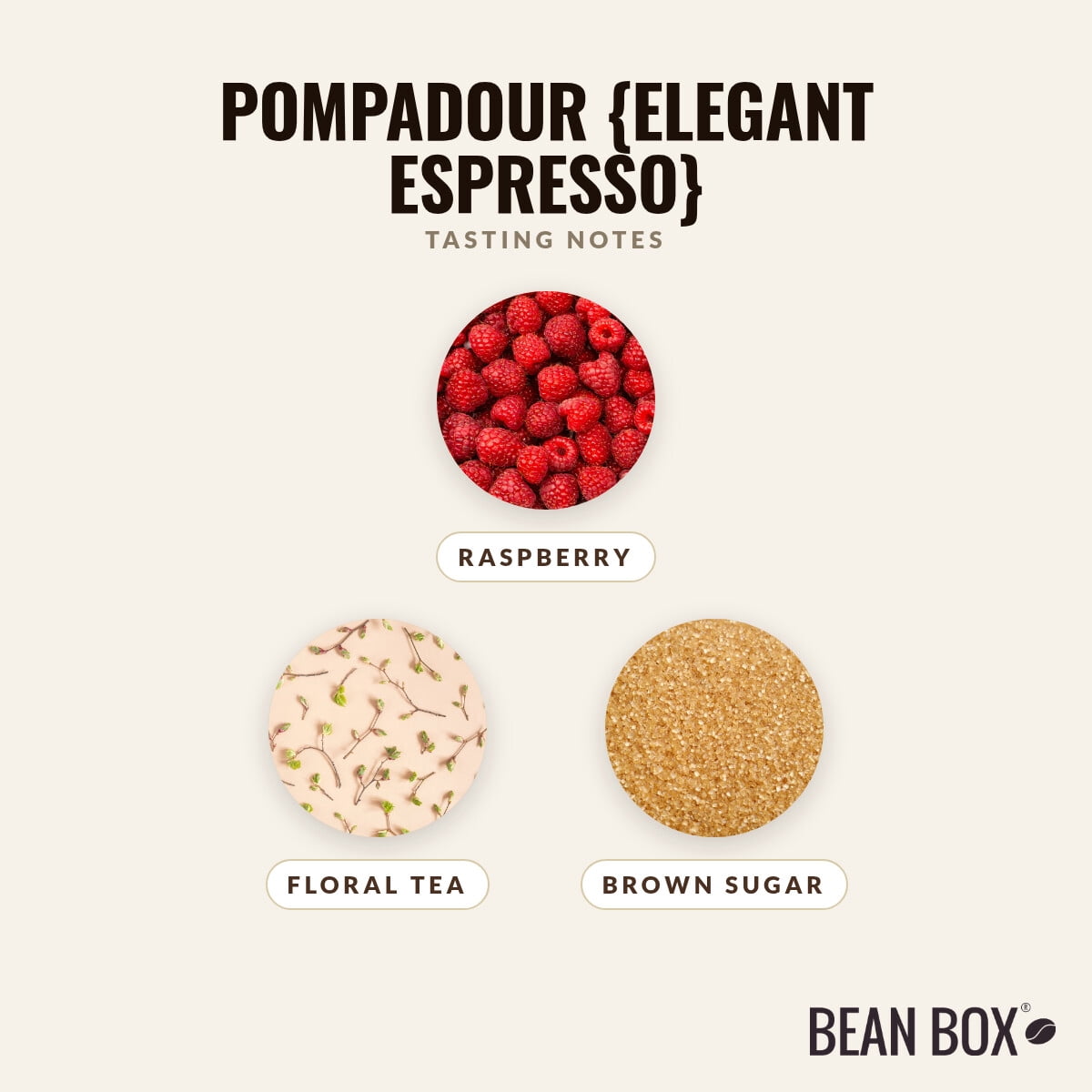 Pompadour Elegant Espresso - Roasted by Noble Coffee Roasting - Whole Bean Coffee - 12oz Bag