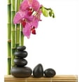 thumbnail image 3 of Ambesonne Spa Themed Duvet Cover Sets, Pink Orchid and Stones, 2-Twin, Black Green and Pink, 3 of 3