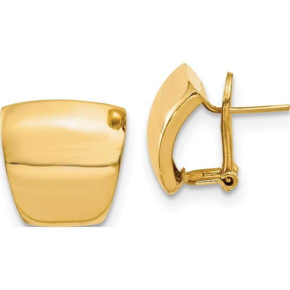 14K Polished Fancy Omega Back Earrings (15.5x16)