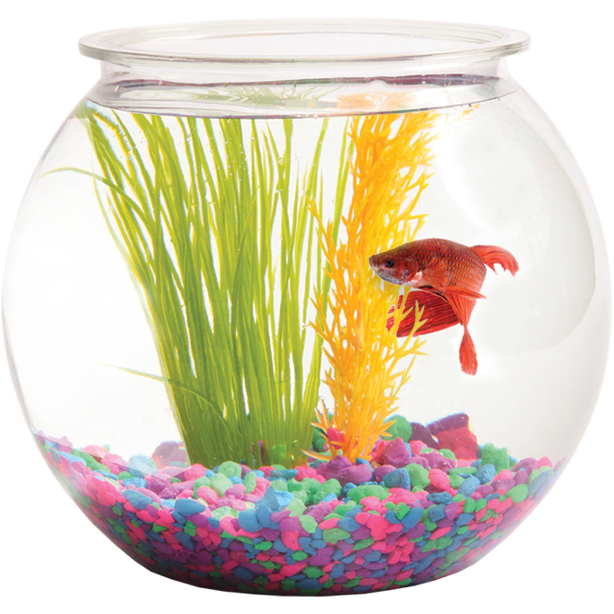 large fish bowl aquarium large fish bowl aquarium