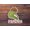 1pcs, variant on Youve Yeed Your Last Haw Partner Frog Stretching Hat Sticker