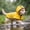 #03 _Yellow, variant on Dog Raincoat, Clear Hooded Poncho Rain Coat Jacket, for Small to Large Dogs, Orange _ L