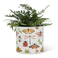 thumbnail image 2 of Moths And Bugs Planter, 2 of 3