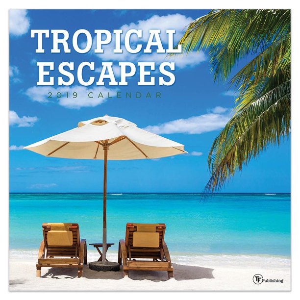 2019 Tropical Escapes 12" x 12" January 2019-December 2019 Wall 2019 Tropical Escapes 12" x 12" January 2019-December 2019 Wall