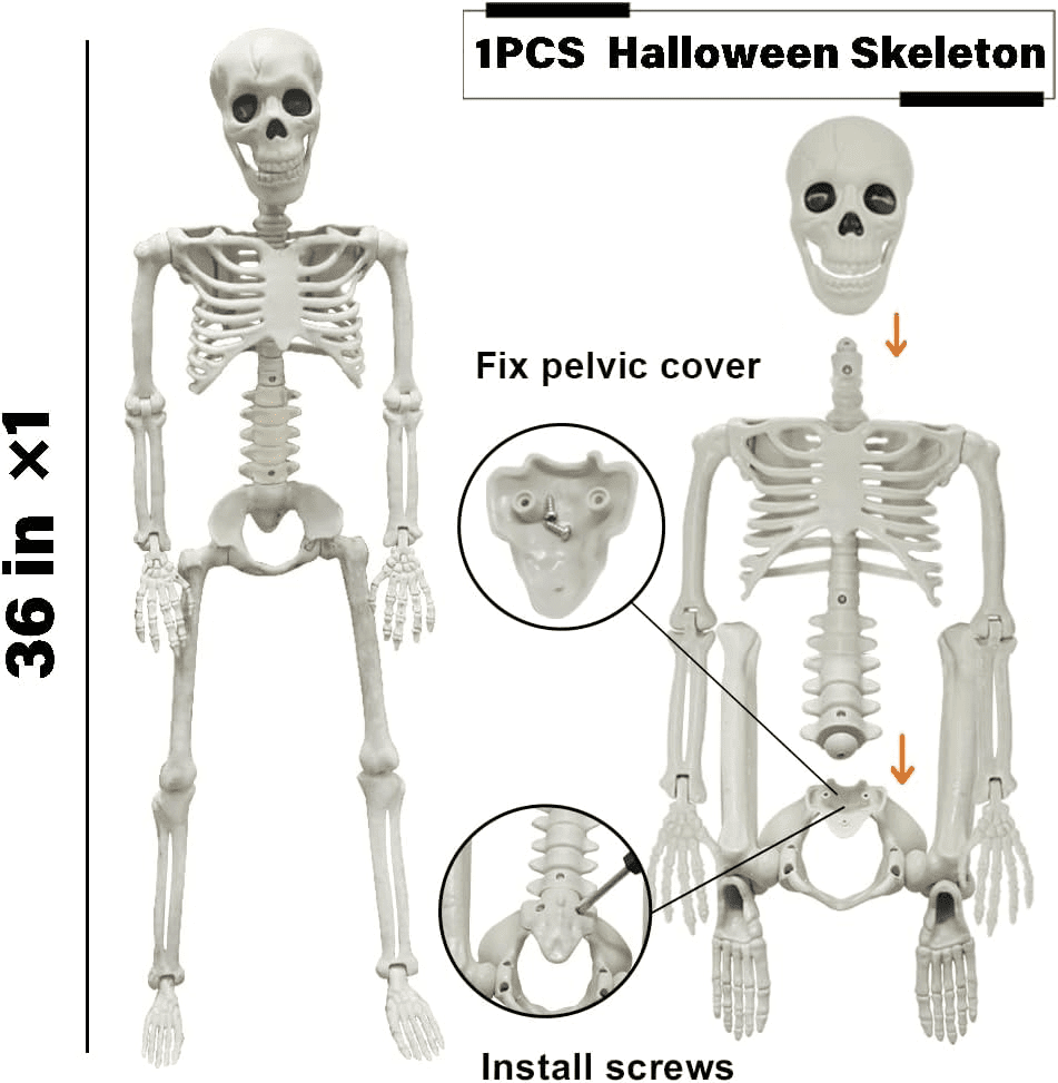 3 FT Posable Skeleton Decoration with Movable Joints for Halloween Party