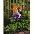thumbnail image 2 of Carolines Treasures CK3207GF Hallween Border Collie Garden Size Flag, 2 of 3