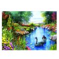 thumbnail image 1 of 5D DIY diamante pintura bordado Kit de punto de cruz para decoración del hogar belleza Cisne gris Sunnimix 5D Pintura Diamante BRICOLAJE, 1 of 8