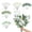 D, variant on 74 Pcs 9 Kinds Mixed Artificial Eucalyptus Stems and Faux Flowers,Fake Silver Dollar Eucalyptus Leaves Stems Bulk Real Touch Leaf Branches for DIY Bouquets Floral Arrangement Wedding Home Decor