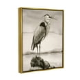 thumbnail image 4 of Stupell Industries Heron Perched at Sea Animals & Insects Painting Gold Floater Framed Canvas Art Print Wall Art, 17 x 21, 4 of 10