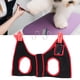 thumbnail image 5 of Arnés de aseo para cachorros gancho ajustable transpirable y hamaca de diseño para aseo de perros suave con bolsillo para el hogar ANGGREK  Otros, 5 of 8