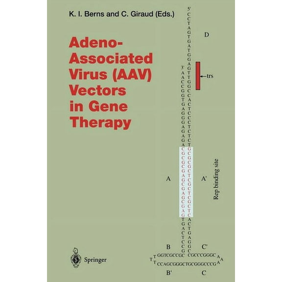 Current Topics in Microbiology and Immmu Adeno-Associated Virus (Aav) Vectors in Gene Therapy, Book 218, (Paperback)