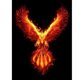 thumbnail image 2 of Cuadros Decorativos 5D DIY taladro redondo completo diamante pintura fuego Phoenix mosaico Rhinestone arte dibujo DQrwqpou Nuevos Originales, 2 of 9