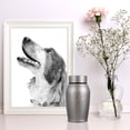 thumbnail image 2 of MasteelfCA Boîte de Rangement pour Cendres de Chat, Urne Commémorative pour Chien, 2 of 7