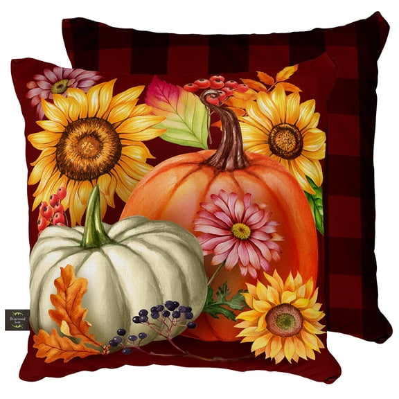 Briarwood Lane Fall Indoor/Outdoor Pillow 17x17 Fall Beauty For Fall Pillow