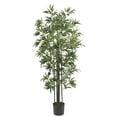 thumbnail image 2 of 6' Bamboo Silk Tree, Green Trunks, 2 of 7