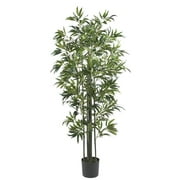 6 Bamboo Silk Tree, Green Trunks