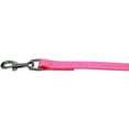 thumbnail image 1 of Plain Nylon Pet Leash 3/8In By 6Ft Hot Pink, 1 of 1
