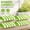 Bright Green and White, variant on 4 Pack Blue and White 3D Stripe Cardboard Awning Decorations for Carnival, Circus Party, Lemonade Stand, Bakery, Ice Cream Truck, Bulletin Board