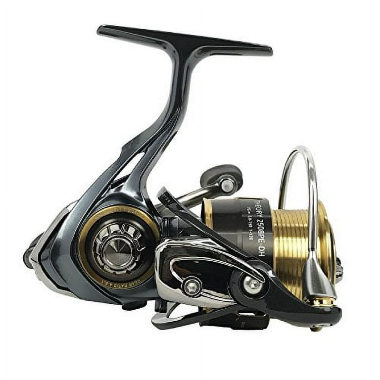 Daiwa (Daiwa) Spinning Reel 17 Theory 2506 (2500 Size) : : Sports  & Outdoors