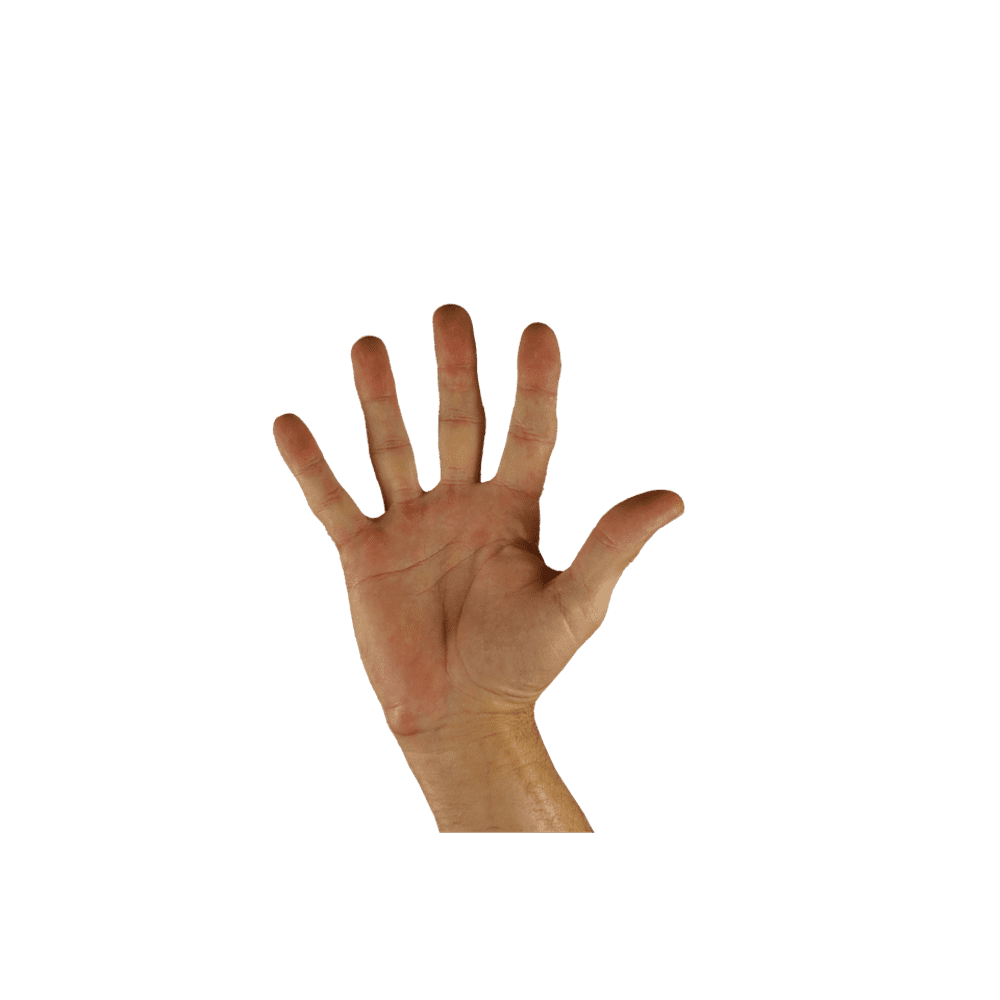 Greeting Hello Finger Hand Five Sign Language20 Inch By 30 Inch Laminated Poster With Bright