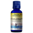 thumbnail image 2 of Divine Essence - Organic Lavender Hybrid Super Essential Oil | Multiple Sizes, 2 of 2