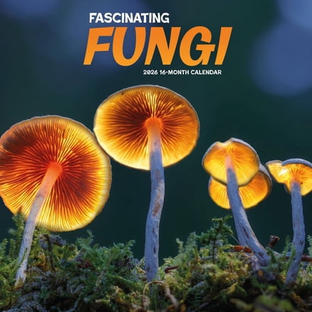 Carousel Calendars, Fantastic Fungi 2026 Wall Calendar