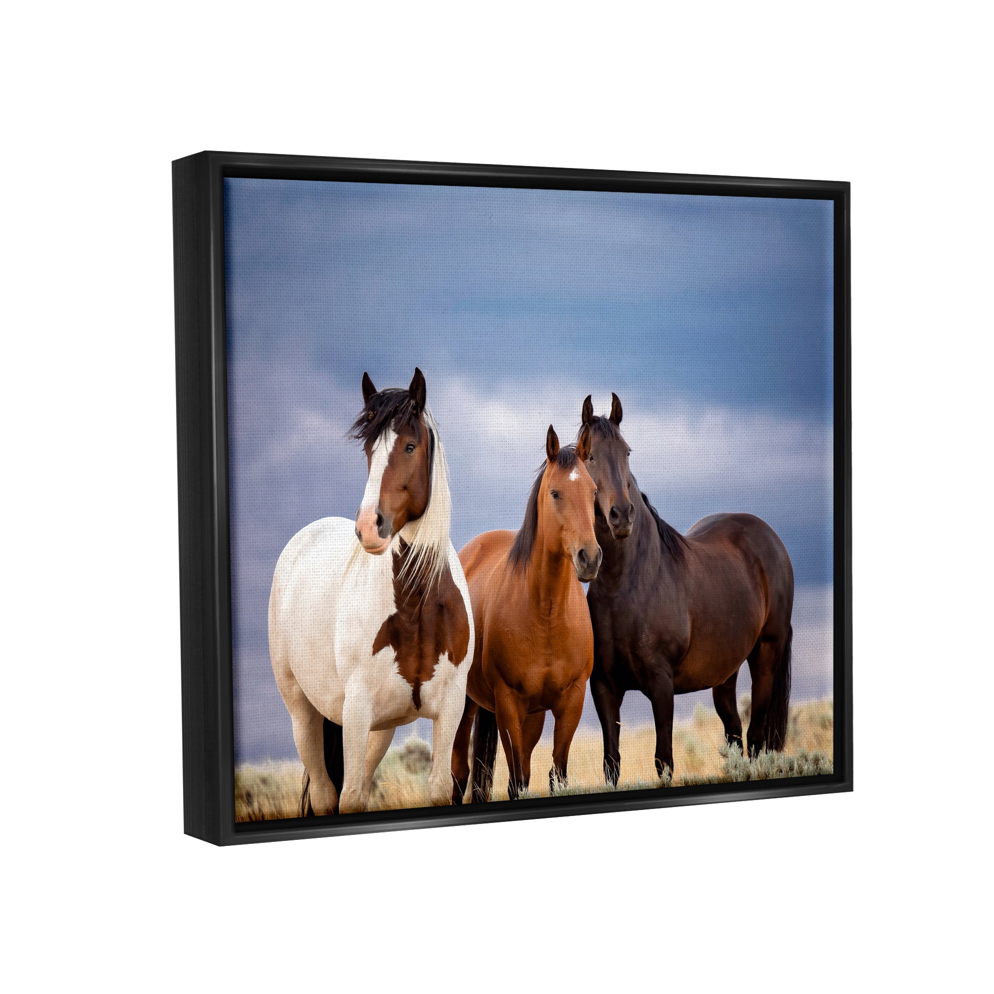 Stupell Industries Horse Trio Under Clouds Animals & Insects Photography Black Floater Framed Canvas Art Print Wall Art, 31 x 25