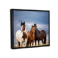 thumbnail image 4 of Stupell Industries Horse Trio Under Clouds Animals & Insects Photography Black Floater Framed Canvas Art Print Wall Art, 31 x 25, 4 of 10