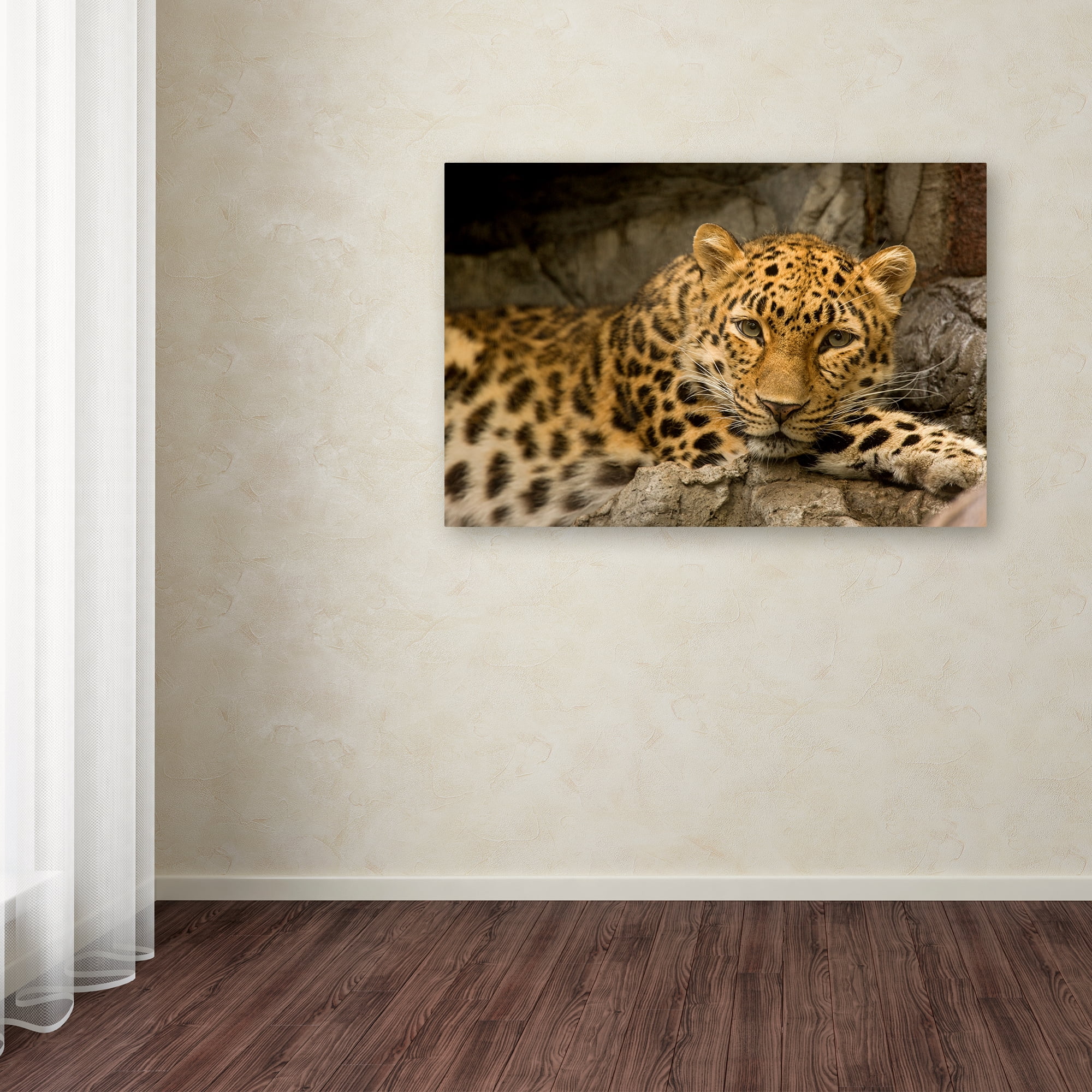 Trademark Fine Art 'Denver Zoo Snow Leopard' Canvas Art by Mike Jones Photo