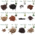 thumbnail image 6 of Herb Garden Seeds: > 8,000 Premium Herb Seeds, Variety Pack (12x) for Planting - Herb Set, 6 of 6