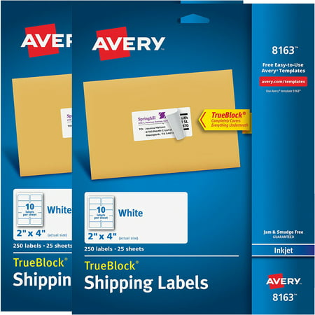 (2 Pack) Avery(R) Shipping Labels with TrueBlock(R) Technology for Inkjet Printers 8163, 2