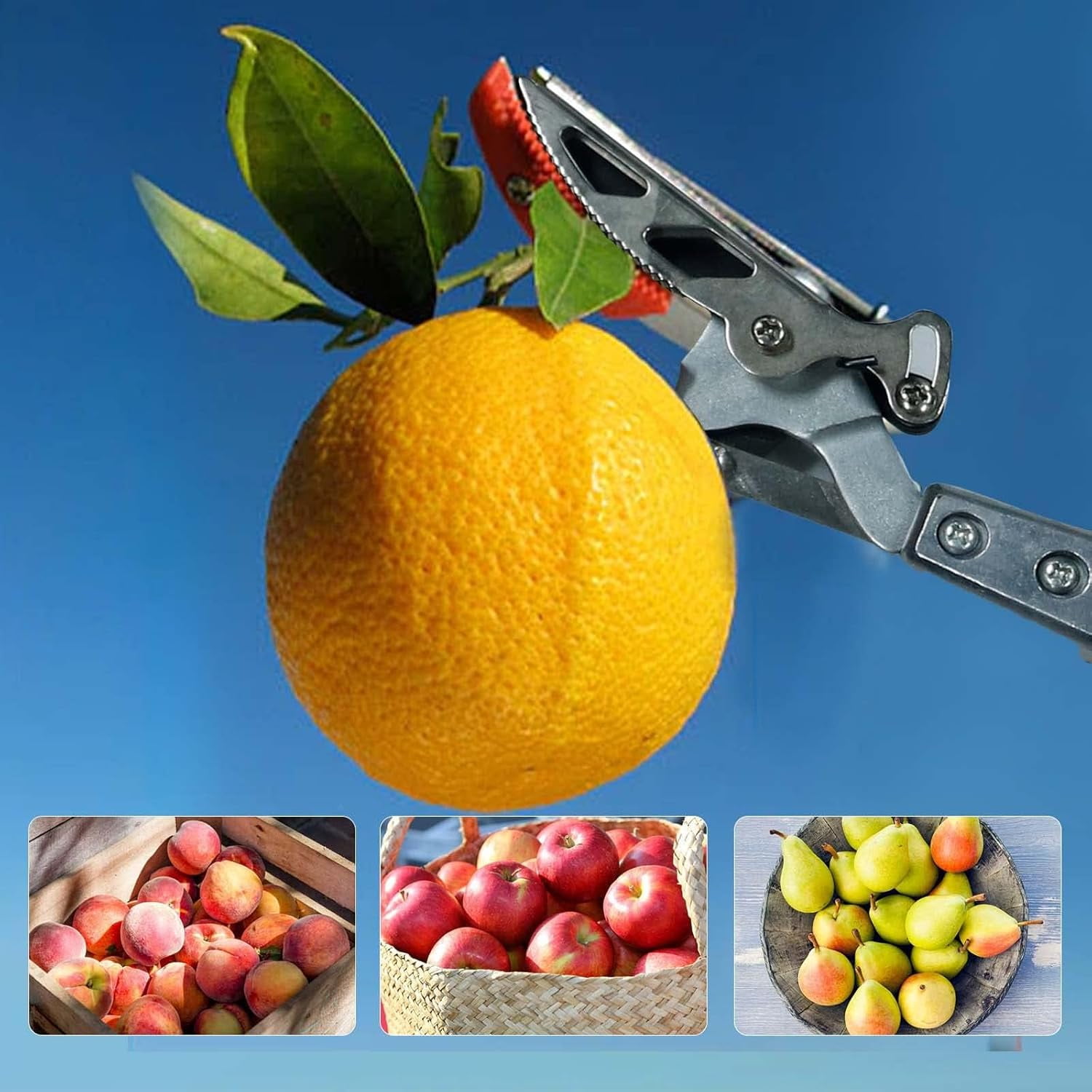 GARTOL 3.67-5.45 FT Fruit Picker with Rotating Blade Head, Lightweight Aluminum Extendable Handle for Tree Branch Cutter, Silver
