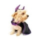 thumbnail image 1 of Disfraz Malefican Pet Pals Perro Halloween Talla 1, 1 of 4